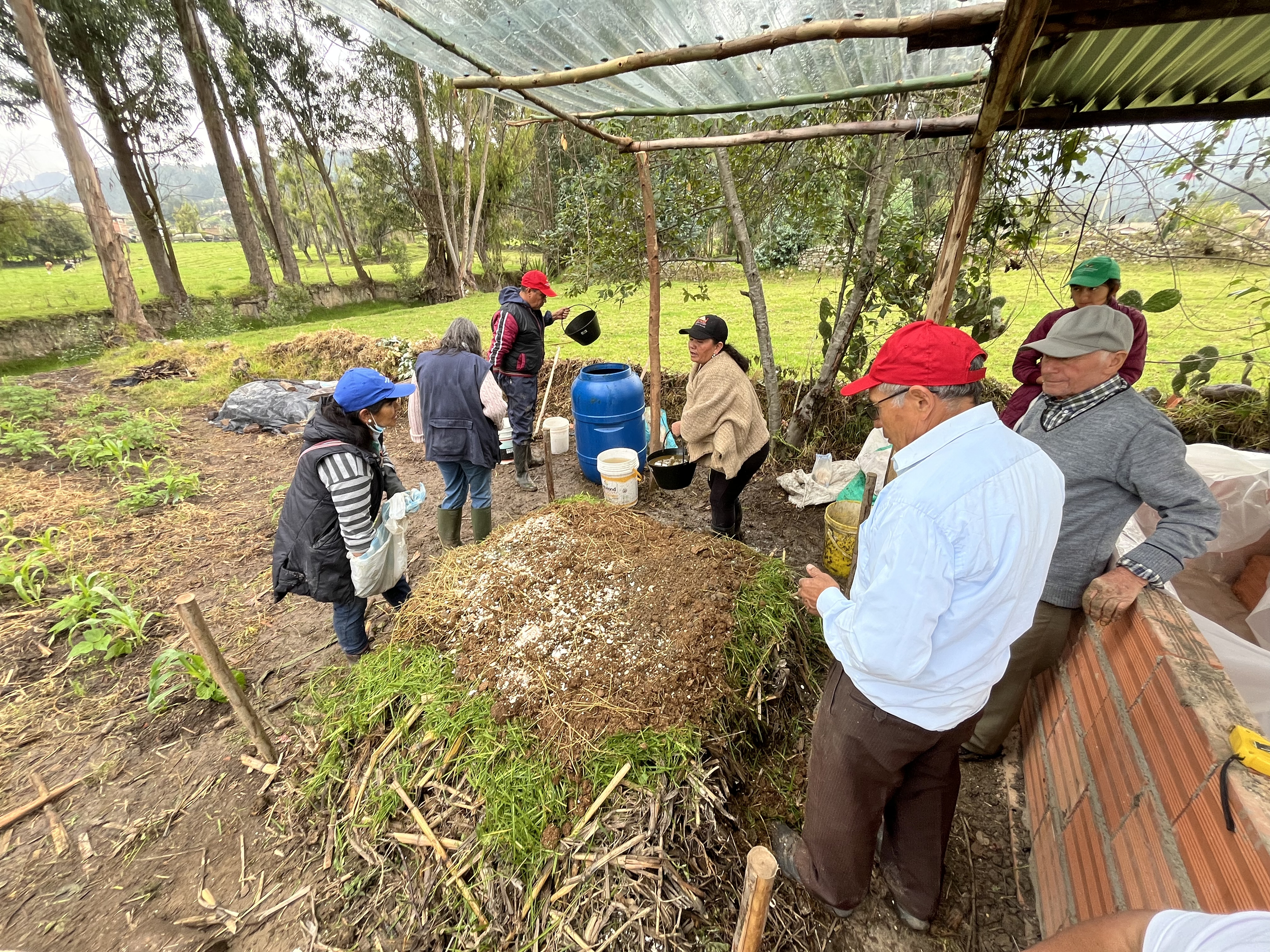 Investigaciones Participativas